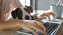 work-from-home-with-your-dog