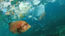 biodegradeable-pollution-marine-life