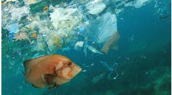 biodegradeable-pollution-marine-life