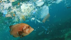 1663606619710 Biodegradeablepollutionmarinelife 1663606619710 Biodegradeablepollutionmarinelife