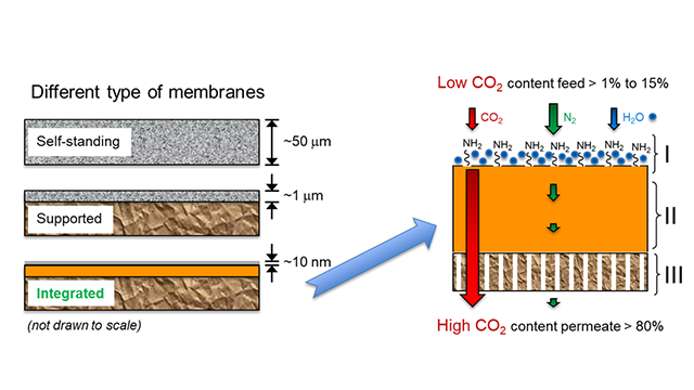 Figure 1. Ultraviolet light integrates a thin layer, which then undergoes functionalization.