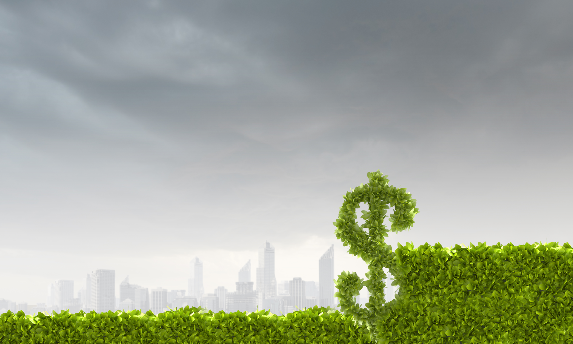 Climate Impact On Financial Statements 63597d4144428