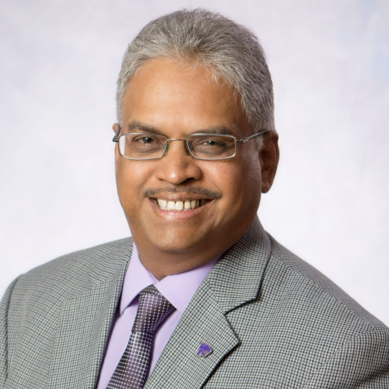 Raju Dandu, KSU-Bulk Solids Innovation Center | Chemical Processing