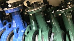 Shutterstock 1058291609 Shutterstock 1058291609