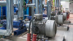 Shutterstock 709227613 Shutterstock 709227613