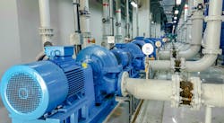 Shutterstock 1776641012 64012d6fdcd38 Shutterstock 1776641012 64012d6fdcd38