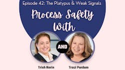 Process Safety Episode 42 Platypus 642b2d424ca93 Process Safety Episode 42 Platypus 642b2d424ca93