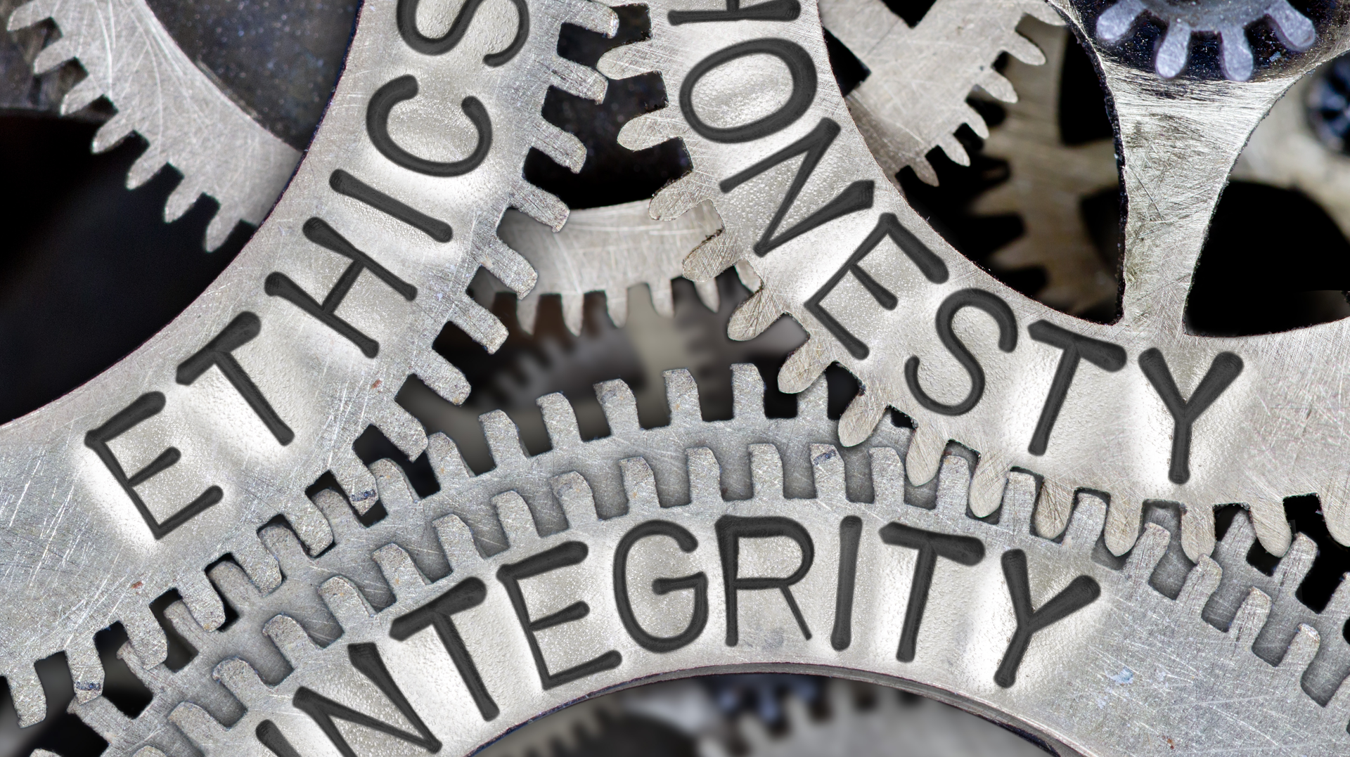 Shutterstock 764161192