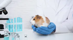 Shutterstock 1943911144