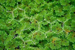 Shutterstock 2176473635 6500a27a9bc57 Shutterstock 2176473635 6500a27a9bc57