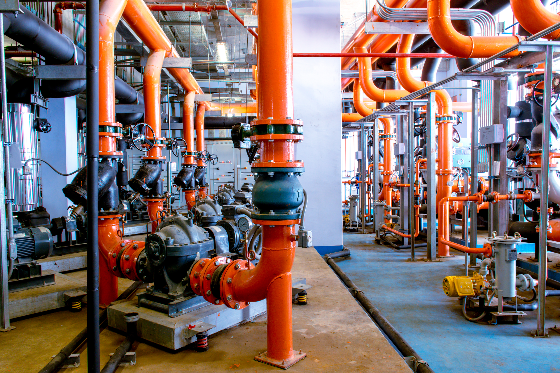 Shutterstock 743833879 64f8ca1592f29