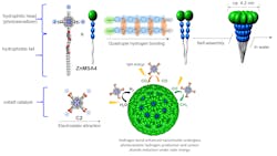 Figure 3. A supramolecular assembly approach mimics the structure of a purple bacteria’s light-harvesting pigment. containing chromatophore cells. Figure 3. A supramolecular assembly approach mimics the structure of a purple bacteria’s light-harvesting pigment. containing chromatophore cells.