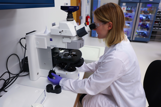 The Locus team of science experts evaluates a a variety of bacteria, yeast and fungal strains. The team then uses bioinformatics to pinpoint the specific microbial strains that will produce biosurfactants with desired performance characteristics.