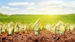 Field of showing money growing Field of showing money growing