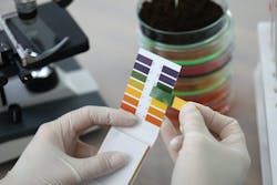 Hands Holding Litmus Test Paper For Chemical Analysis Hands Holding Litmus Test Paper For Chemical Analysis