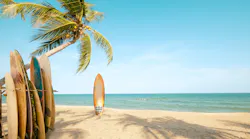 Surfboard And Palm Tree On Beach With Beach Sign For Surfing Area