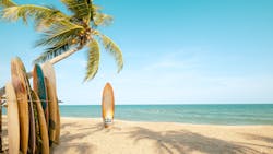 Surfboard And Palm Tree On Beach With Beach Sign For Surfing Area Surfboard And Palm Tree On Beach With Beach Sign For Surfing Area