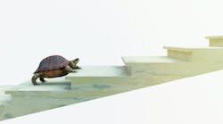 slow turtle climbing stairs