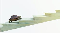 slow turtle climbing stairs