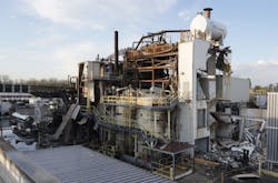 656e32dbde3542001e43b7a1 Csb Photo Yenkinmajestic Opc Plant 656e32dbde3542001e43b7a1 Csb Photo Yenkinmajestic Opc Plant