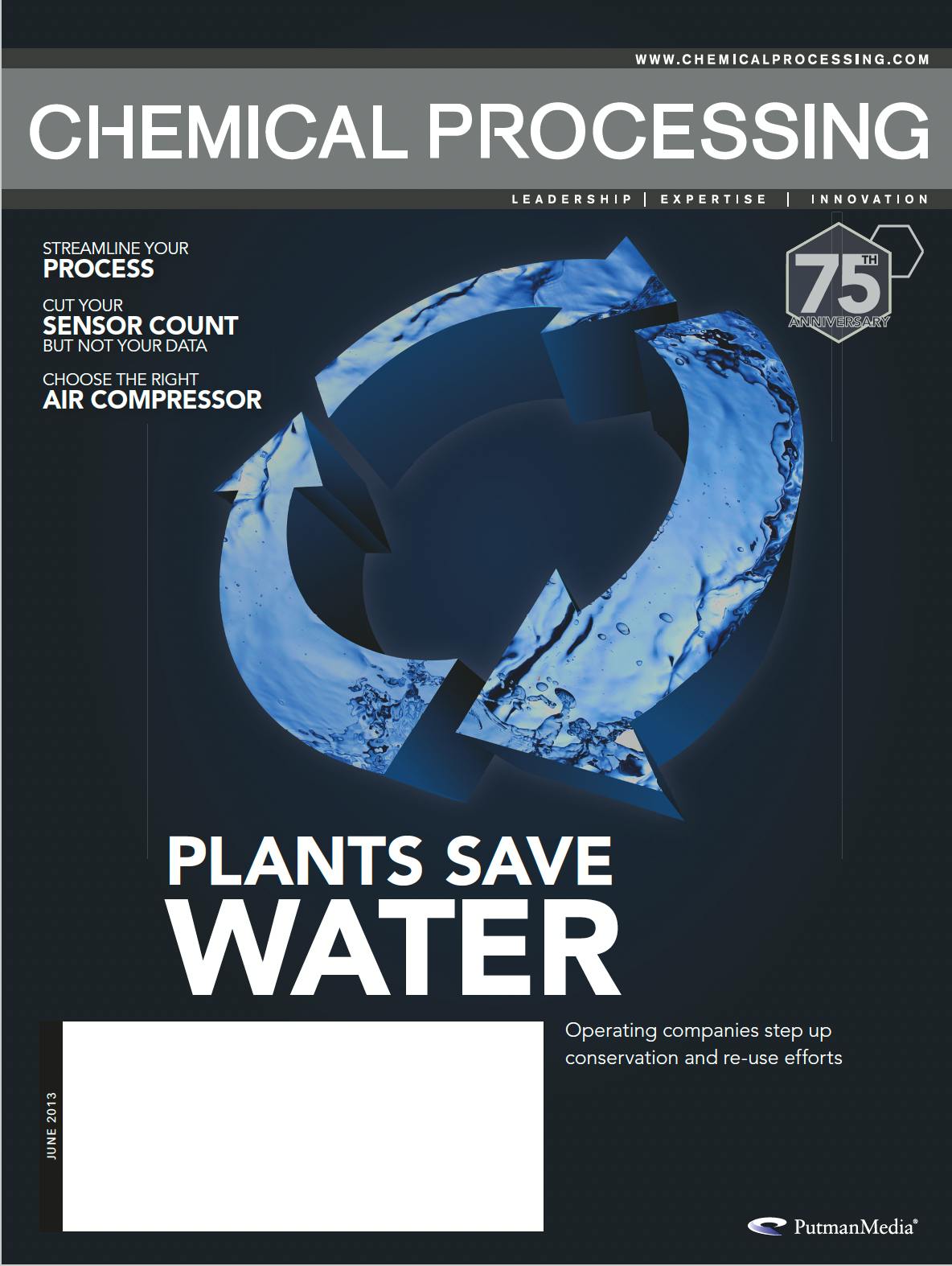June 2013 | Chemical Processing