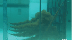 Oleo Sponge Oleo Sponge