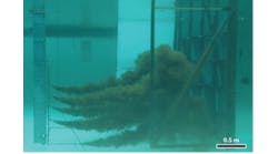 Oleo Sponge Oleo Sponge