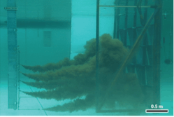 Figure 3: Pilot scale test of Oleo Sponge sorbent. An underwater plume of crude oil droplets encounters a wall of Oleo Sponge in a salt water tank at the Ohmsett facility.