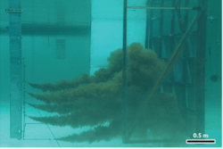 Figure 3: Pilot scale test of Oleo Sponge sorbent. An underwater plume of crude oil droplets encounters a wall of Oleo Sponge in a salt water tank at the Ohmsett facility. Figure 3: Pilot scale test of Oleo Sponge sorbent. An underwater plume of crude oil droplets encounters a wall of Oleo Sponge in a salt water tank at the Ohmsett facility.