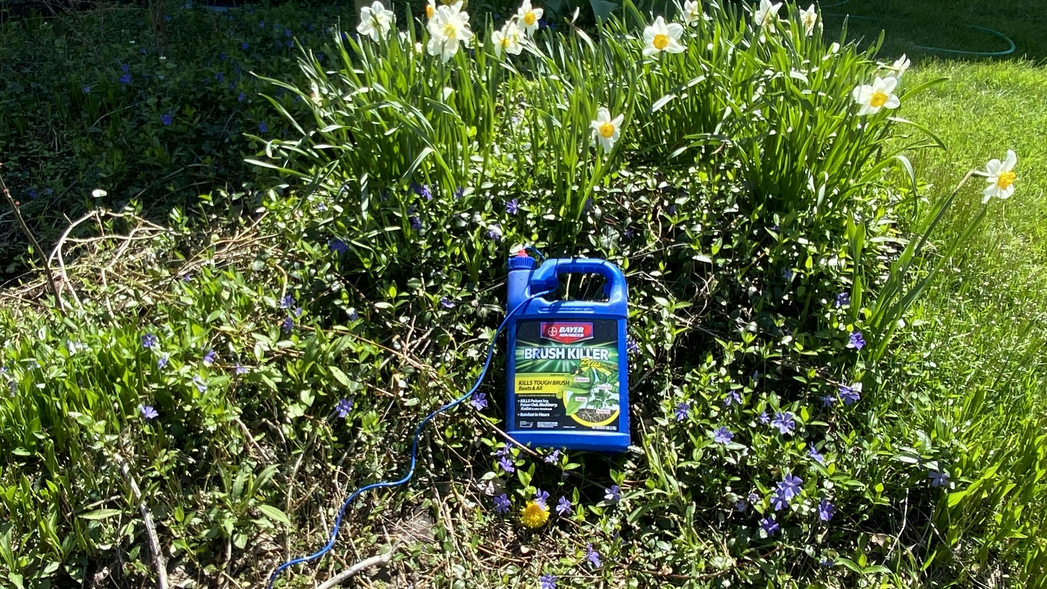 662aa1cd0d02e6001eb92944 Img 4052