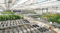 Ginko Bioworks