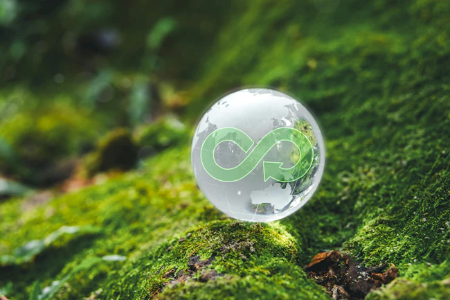 66ce02b84926d0fb2b77a823 Shutterstock 2427138723