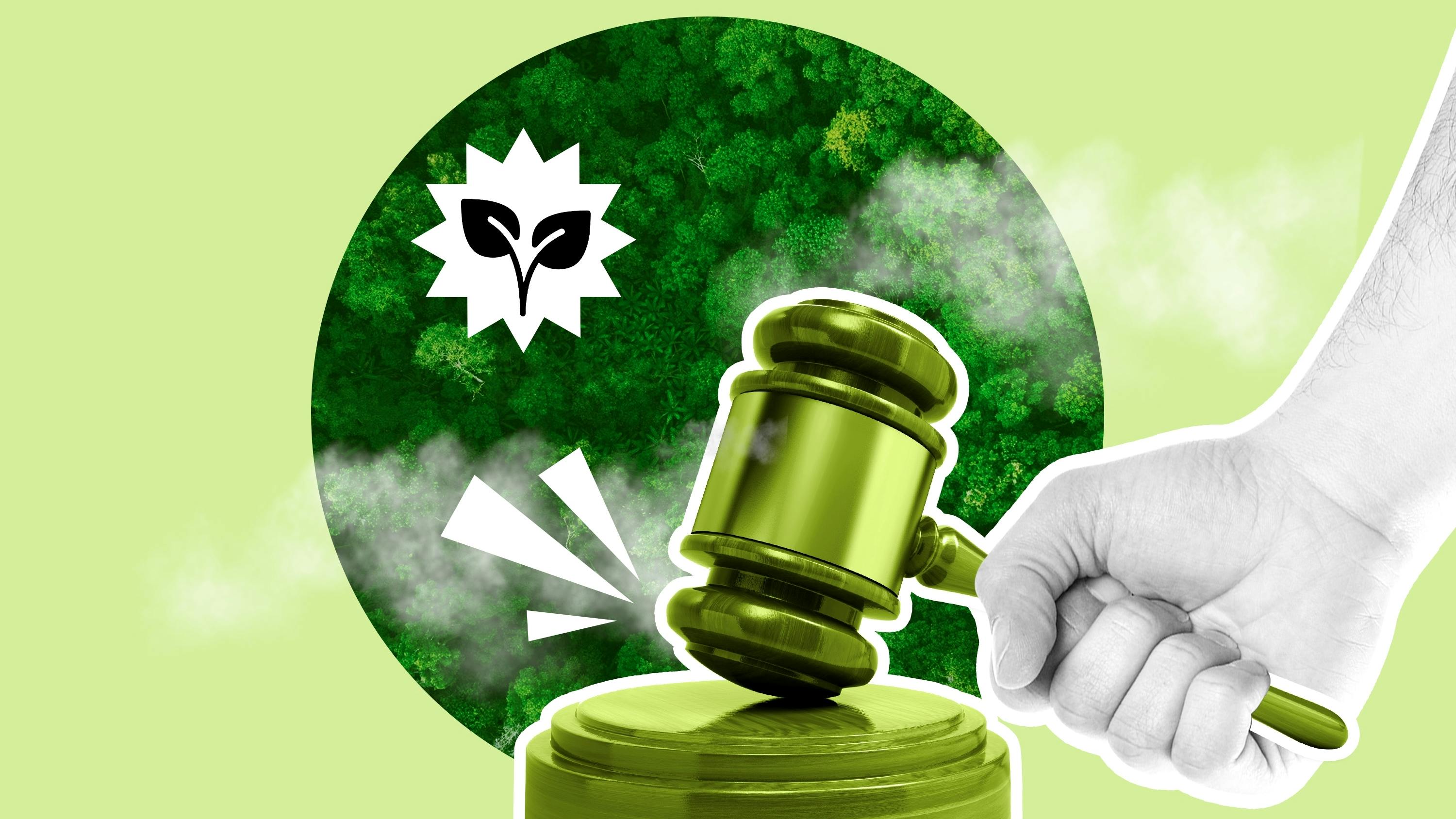 Opinion: How a SCOTUS Decision on Fisheries Influences the Chemical Industry