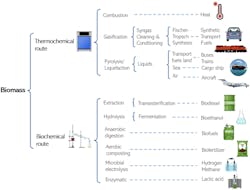 Figure 1. These thermochemical and biochemical methods convert biomass into biofuels. Figure 1. These thermochemical and biochemical methods convert biomass into biofuels.