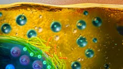 Bio-Based Nanocrystals Combat Oil Pipeline Scaling While Stabilizing Emulsions Bio-Based Nanocrystals Combat Oil Pipeline Scaling While Stabilizing Emulsions