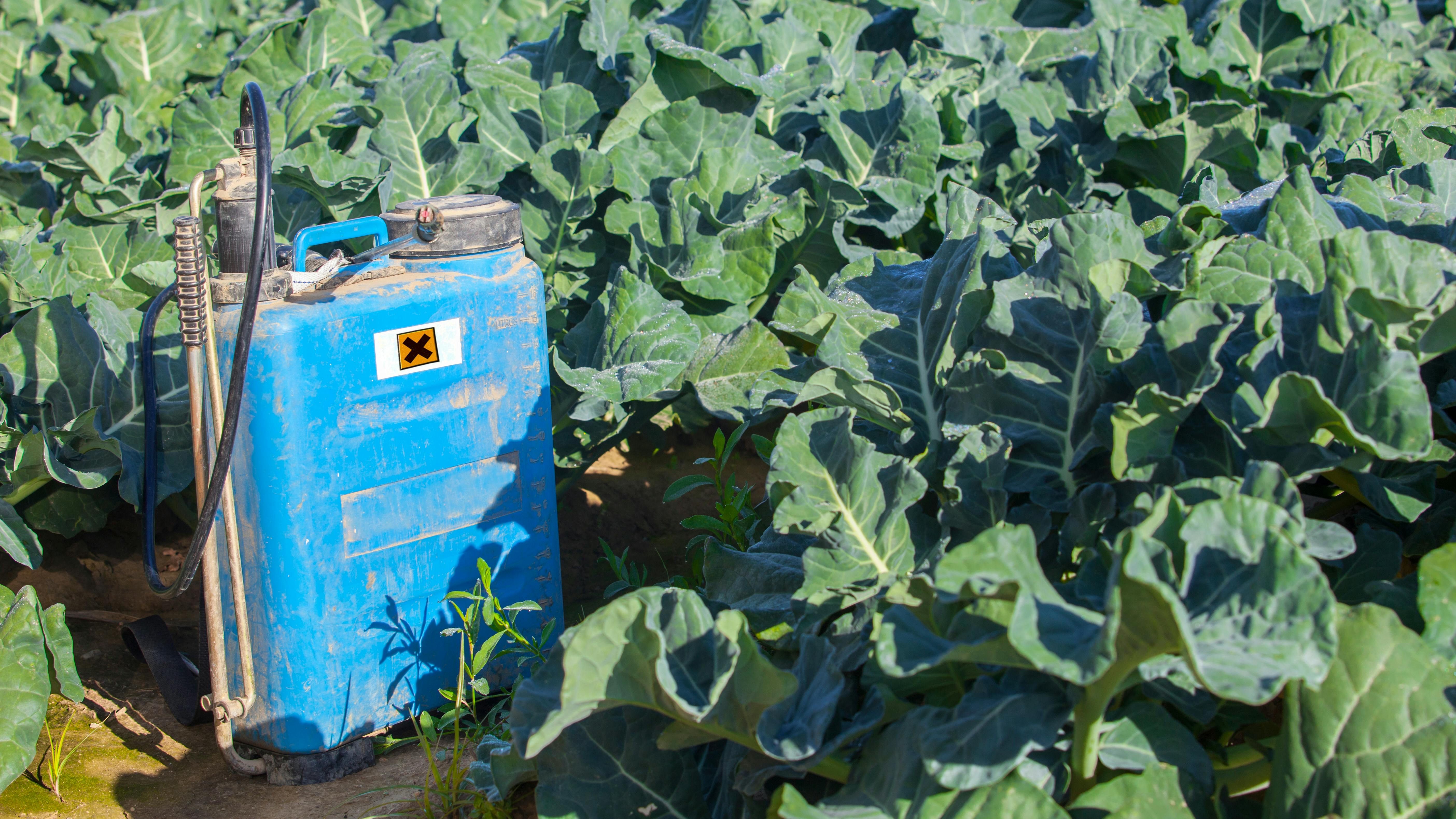 EPA Finalizes DCPA Ban