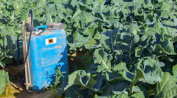 EPA Finalizes DCPA Ban