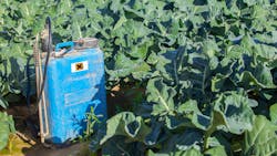 EPA Finalizes DCPA Ban EPA Finalizes DCPA Ban