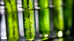 photobioreactor in laboratory for biofuel production