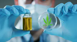 Portrait of scientist with mask and gloves checking and analizing a biological and ecological hemp plant used for herbal pharmaceutical cbd oil in a laboratory.