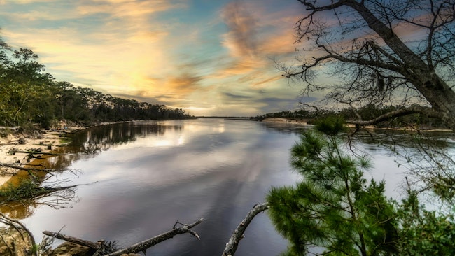 Cape Fear River