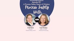 6 Process Safety Pearls of Wisdom 6 Process Safety Pearls of Wisdom