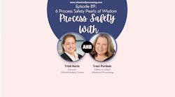 6 Process Safety Pearls of Wisdom 6 Process Safety Pearls of Wisdom