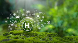 H2 icons surrounded by greenery