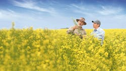 Bayer and Neste plan to jointly scale winter canola as a biomass-based feedstock for renewable products like biofuels Bayer and Neste plan to jointly scale winter canola as a biomass-based feedstock for renewable products like biofuels