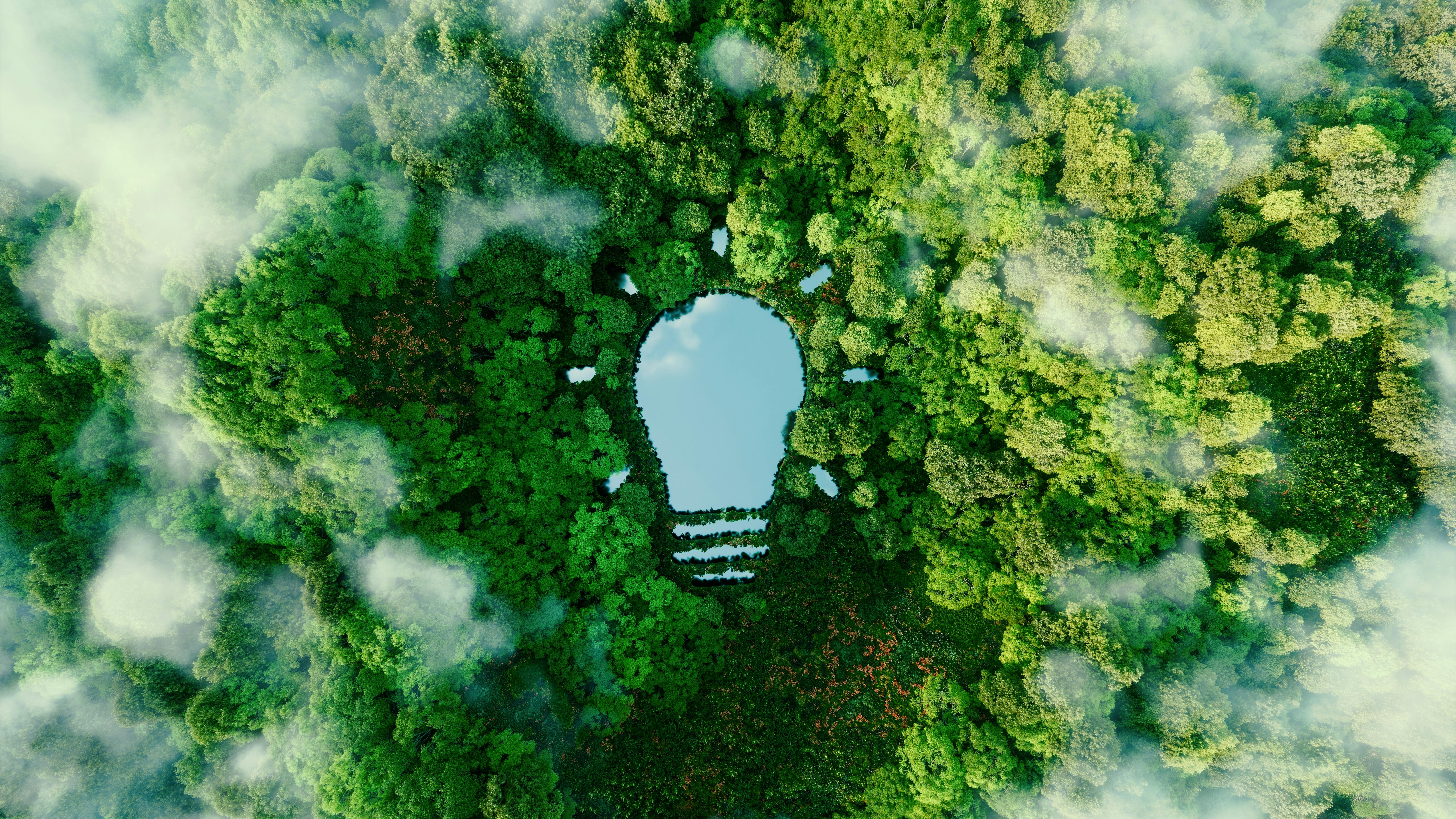 A bulb-shaped lake in the middle of a lush forest, symbolizing fresh ideas, inventiveness and creativity in relation to solving environmental problems