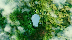 A bulb-shaped lake in the middle of a lush forest, symbolizing fresh ideas, inventiveness and creativity in relation to solving environmental problems