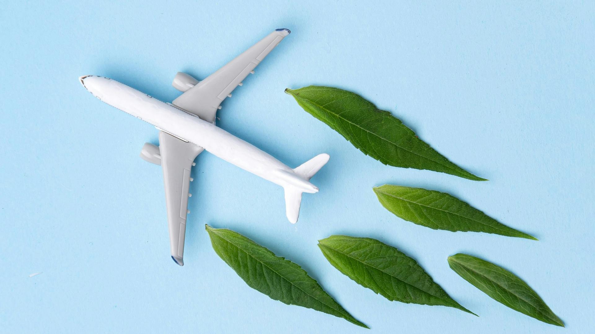 White airplane model, fresh green leaves on blue background.
