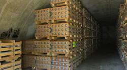 M55 rockets containing VX nerve agent are stored in an earth-covered bunker called an igloo at Blue Grass Army Depot near Richmond.