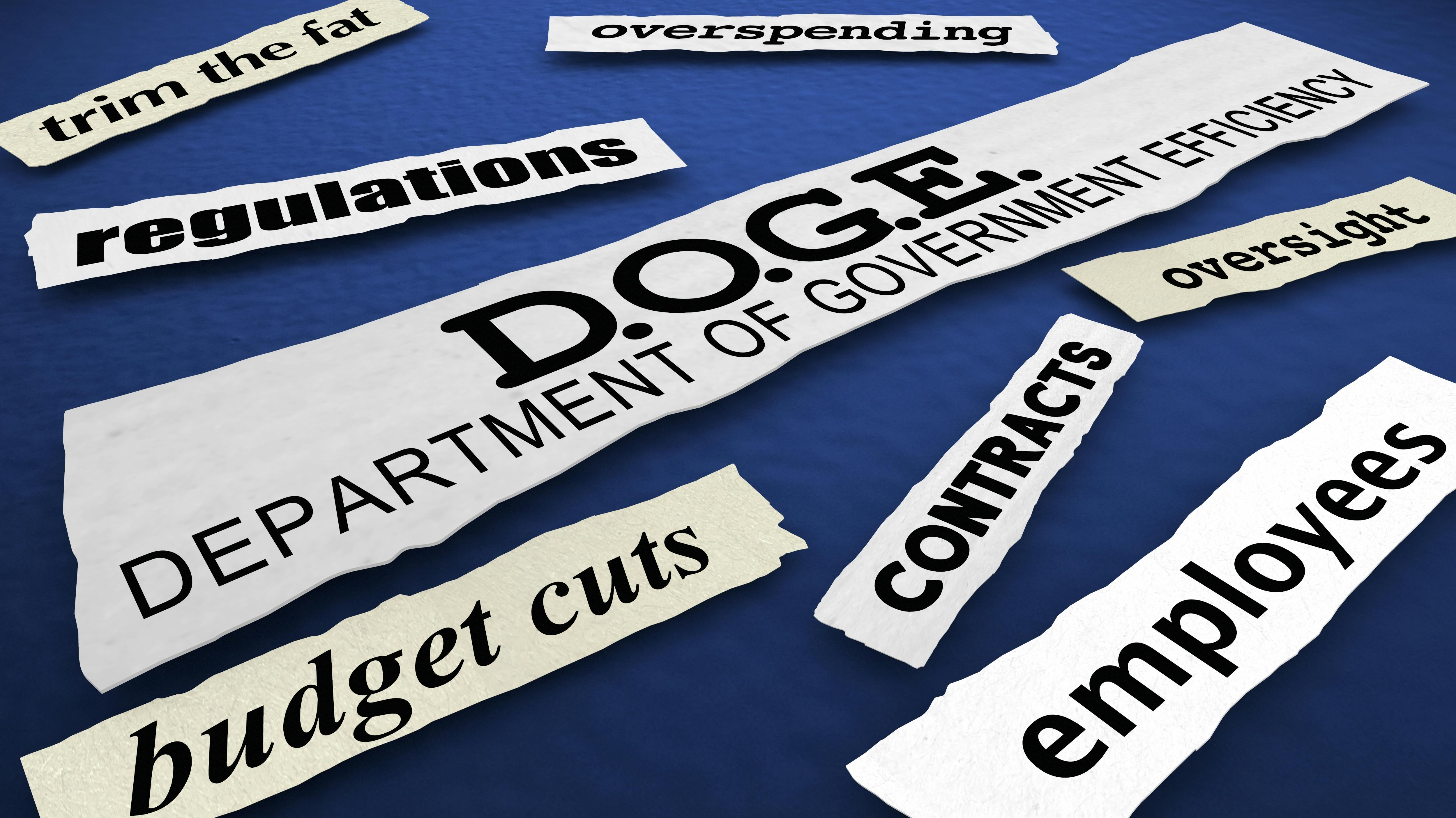 DOGE News Headlines Department of Government Efficiency